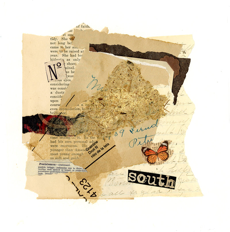 Botanical Journeys