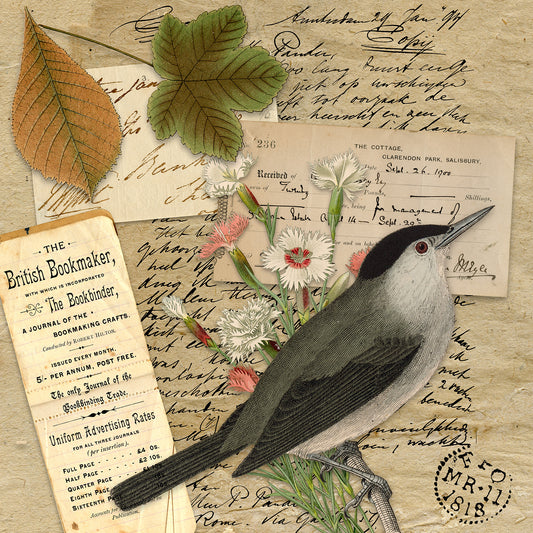 The Bookmaker's Garden
