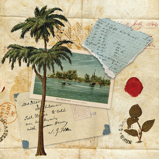Tropical Paradise