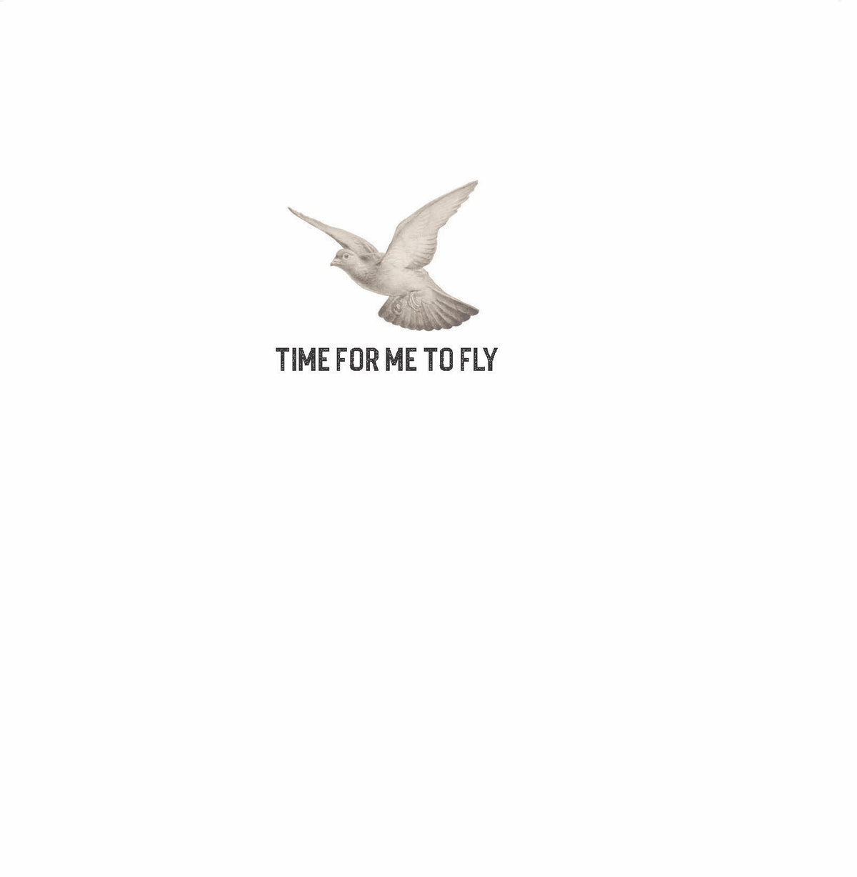 Time For Me To Fly