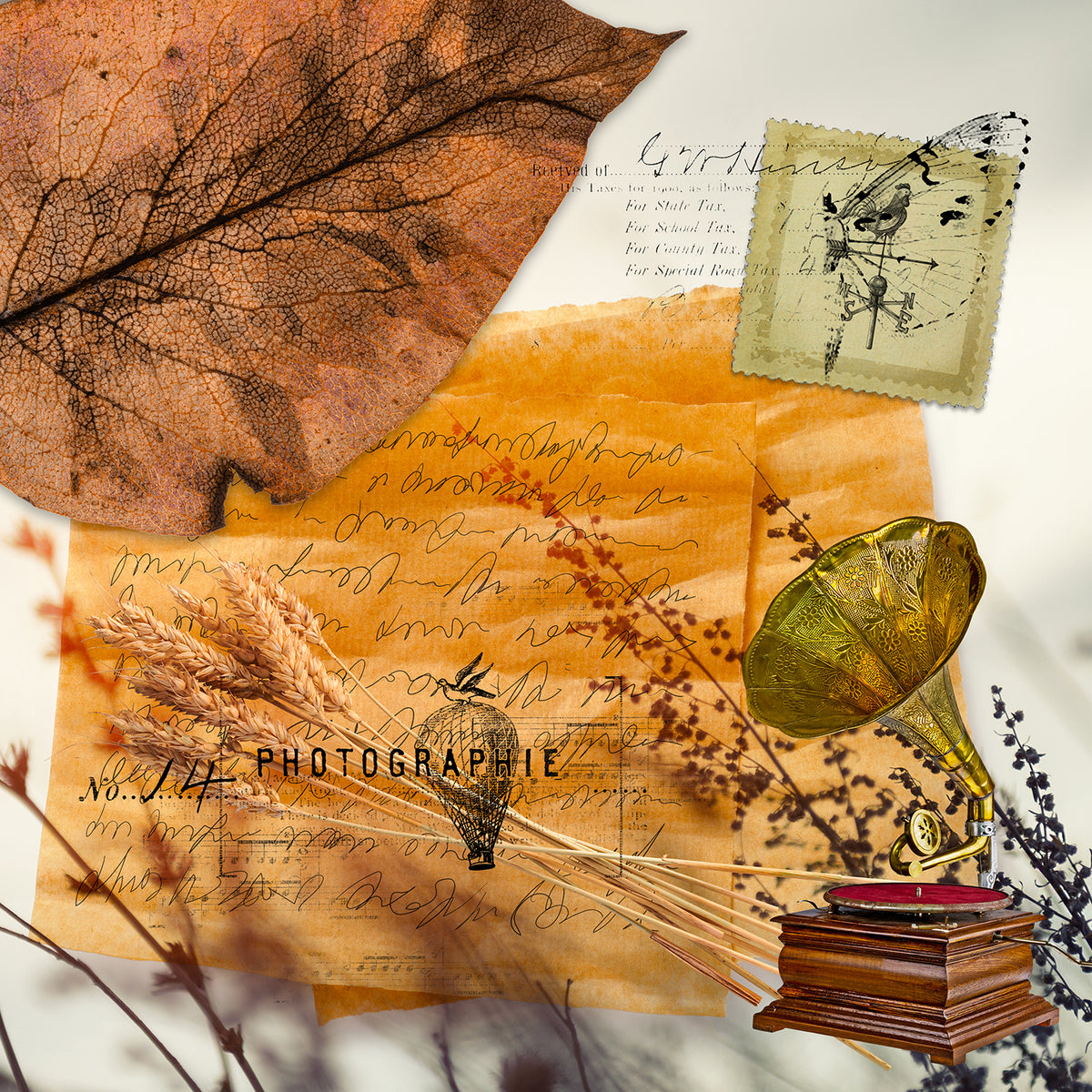 Autumn Serenades