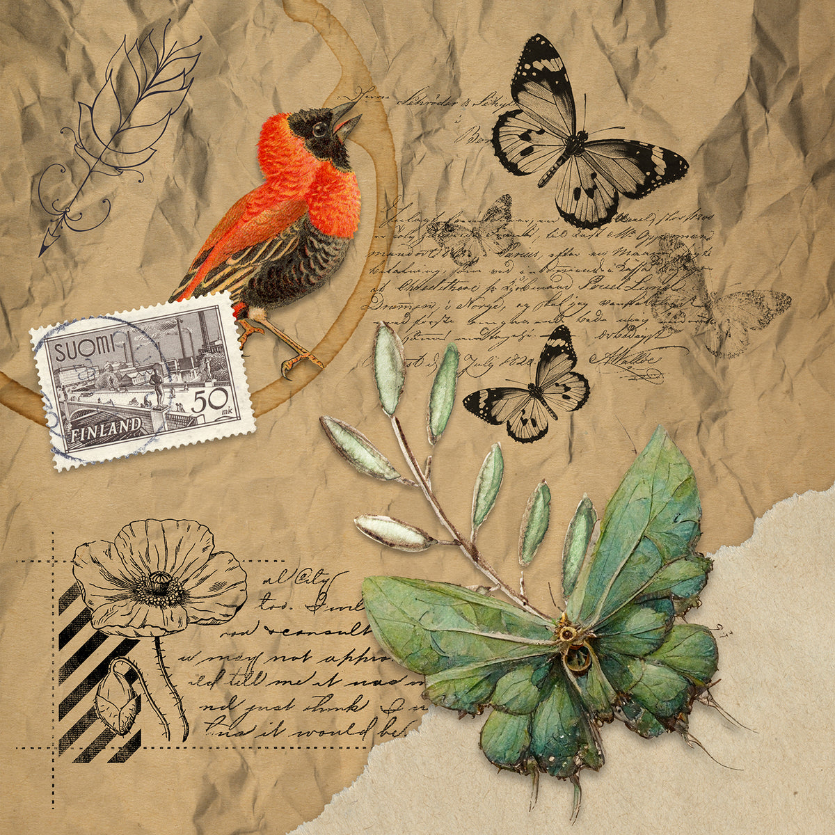 Finnish Naturalist
