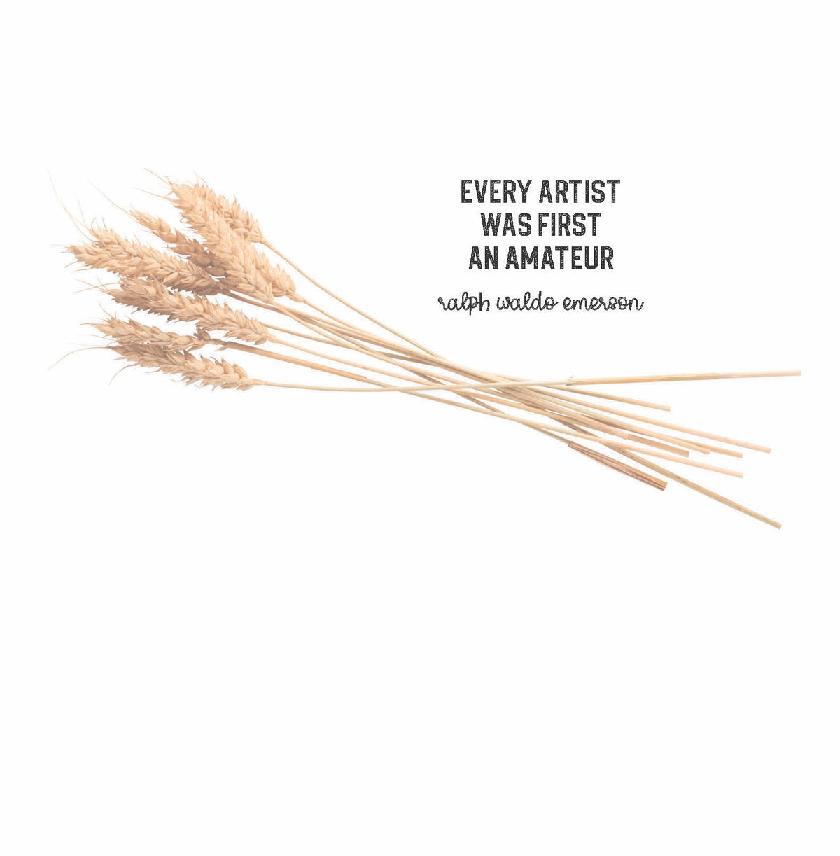 Every Artist Was First An Amateur